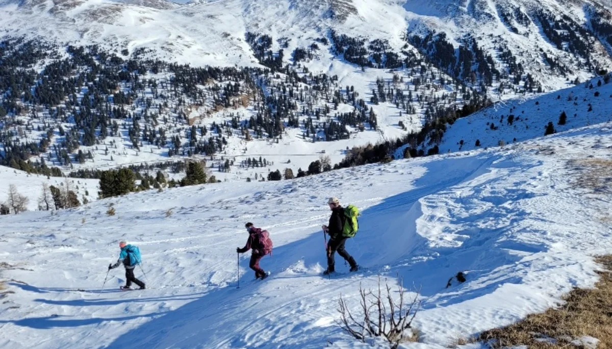 © Copyright: Angie Rosenbauer