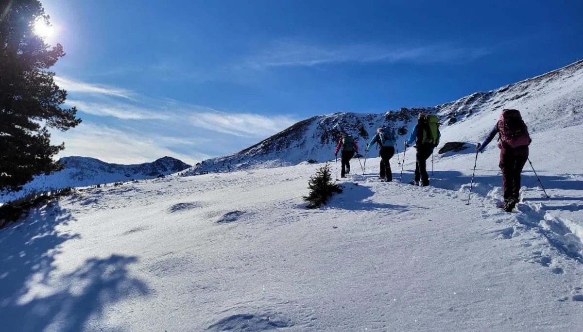 © Copyright: Angie Rosenbauer