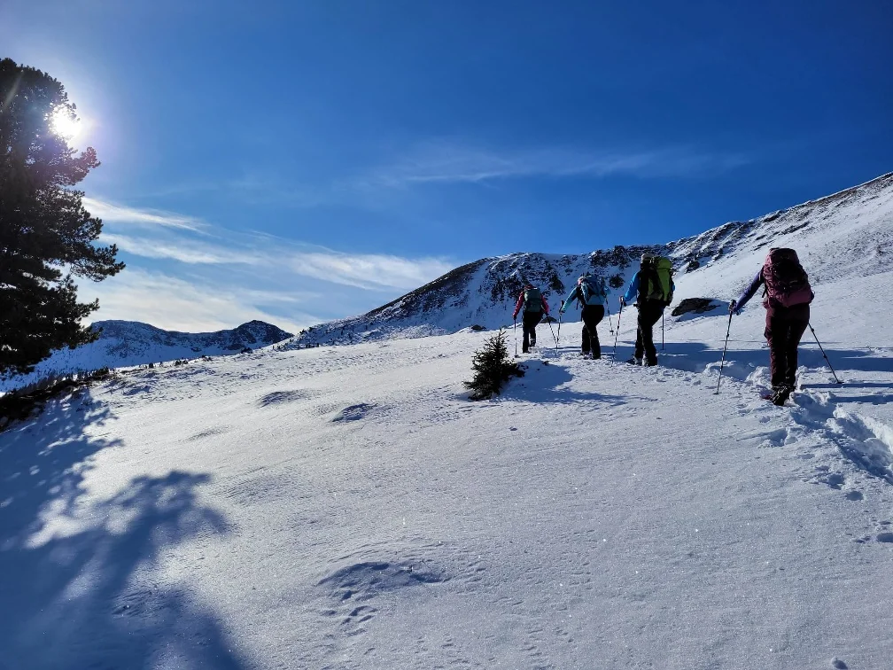 © Copyright: Angie Rosenbauer