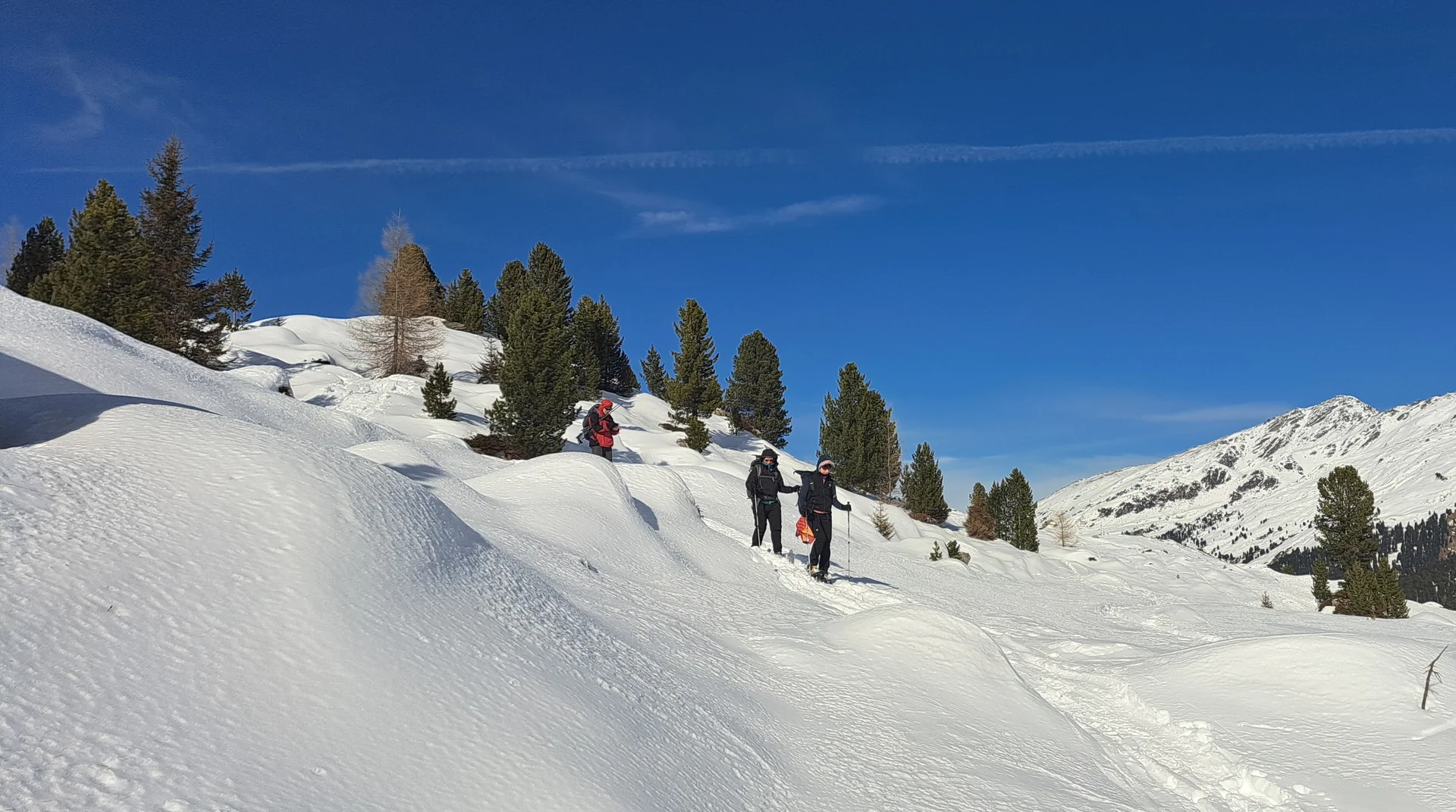 © Copyright: Angie Rosenbauer