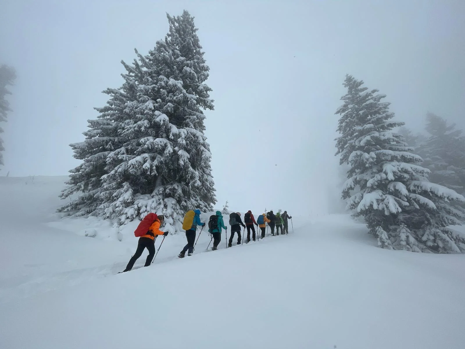 © Copyright: Sektion Treuchtlingen