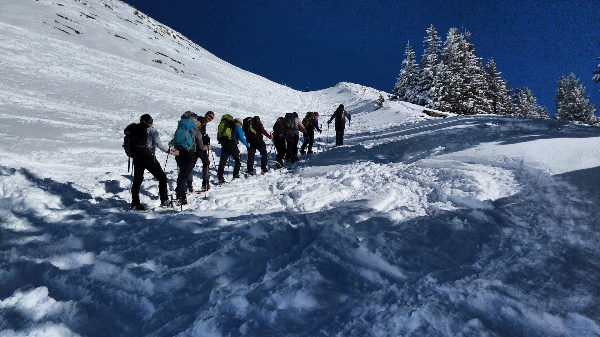 © Copyright: Sektion Treuchtlingen