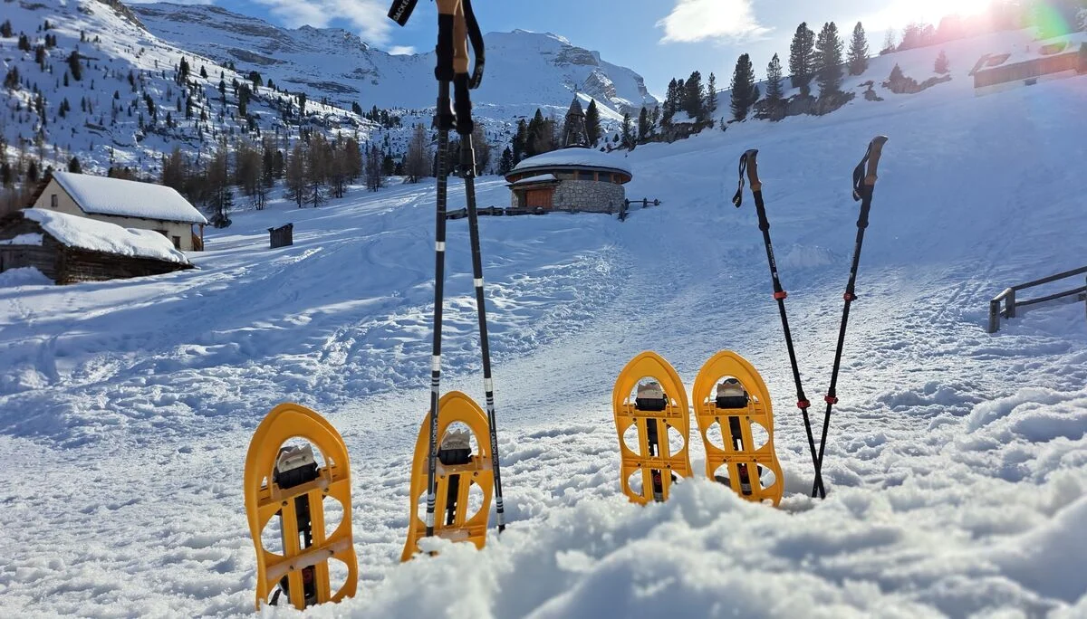 © Copyright: Angie Rosenbauer