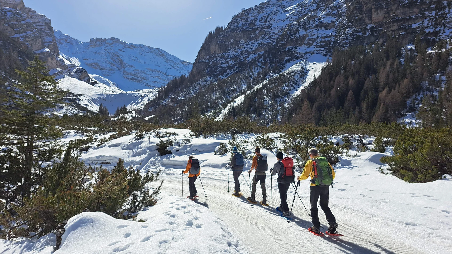 © Copyright: Angie Rosenbauer