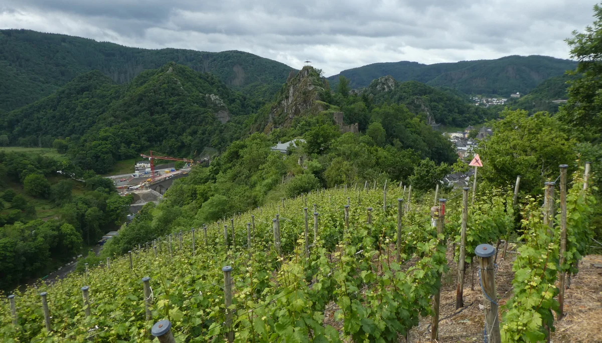 © Copyright: Sektion Treuchtlingen