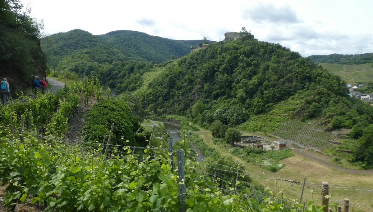 © Copyright: Sektion Treuchtlingen