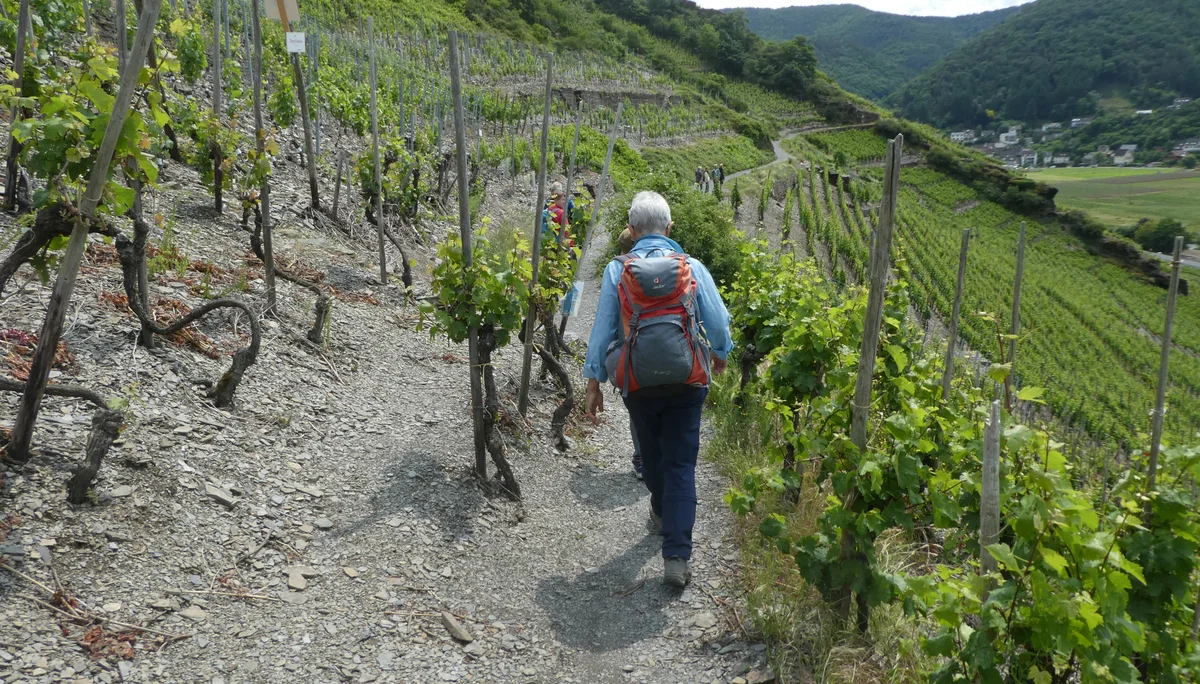 © Copyright: Sektion Treuchtlingen