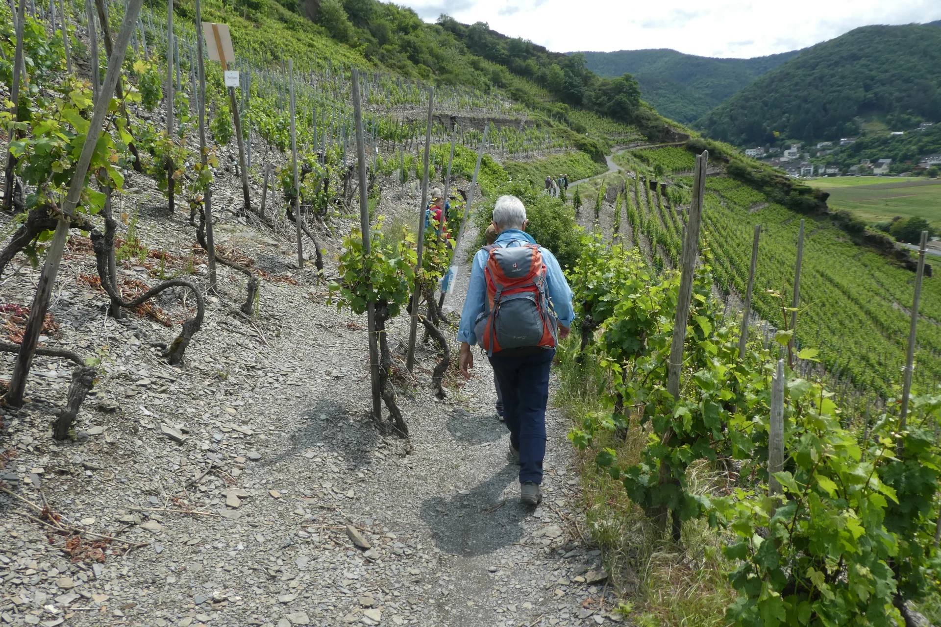 © Copyright: Sektion Treuchtlingen