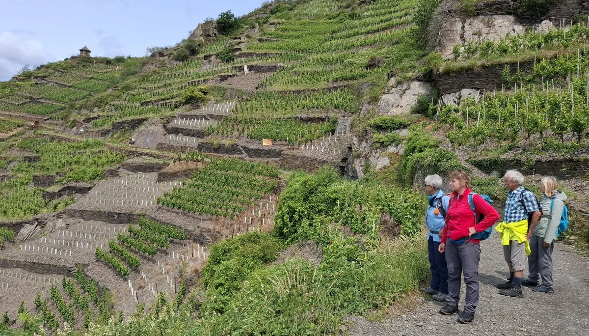 © Copyright: Sektion Treuchtlingen