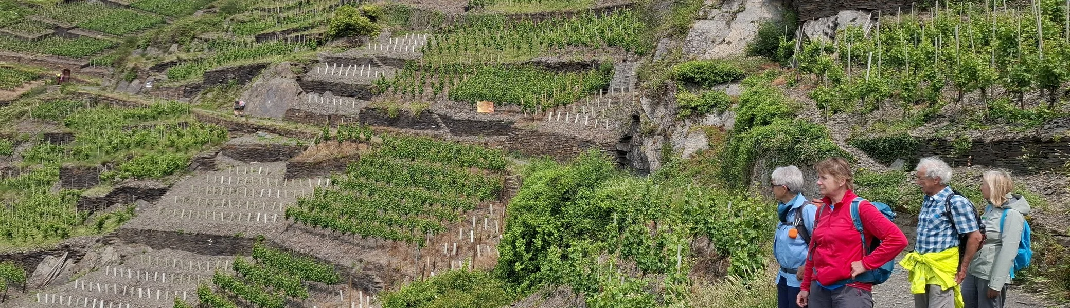 © Copyright: Sektion Treuchtlingen