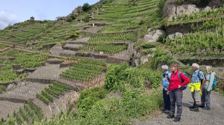 © Copyright: Sektion Treuchtlingen