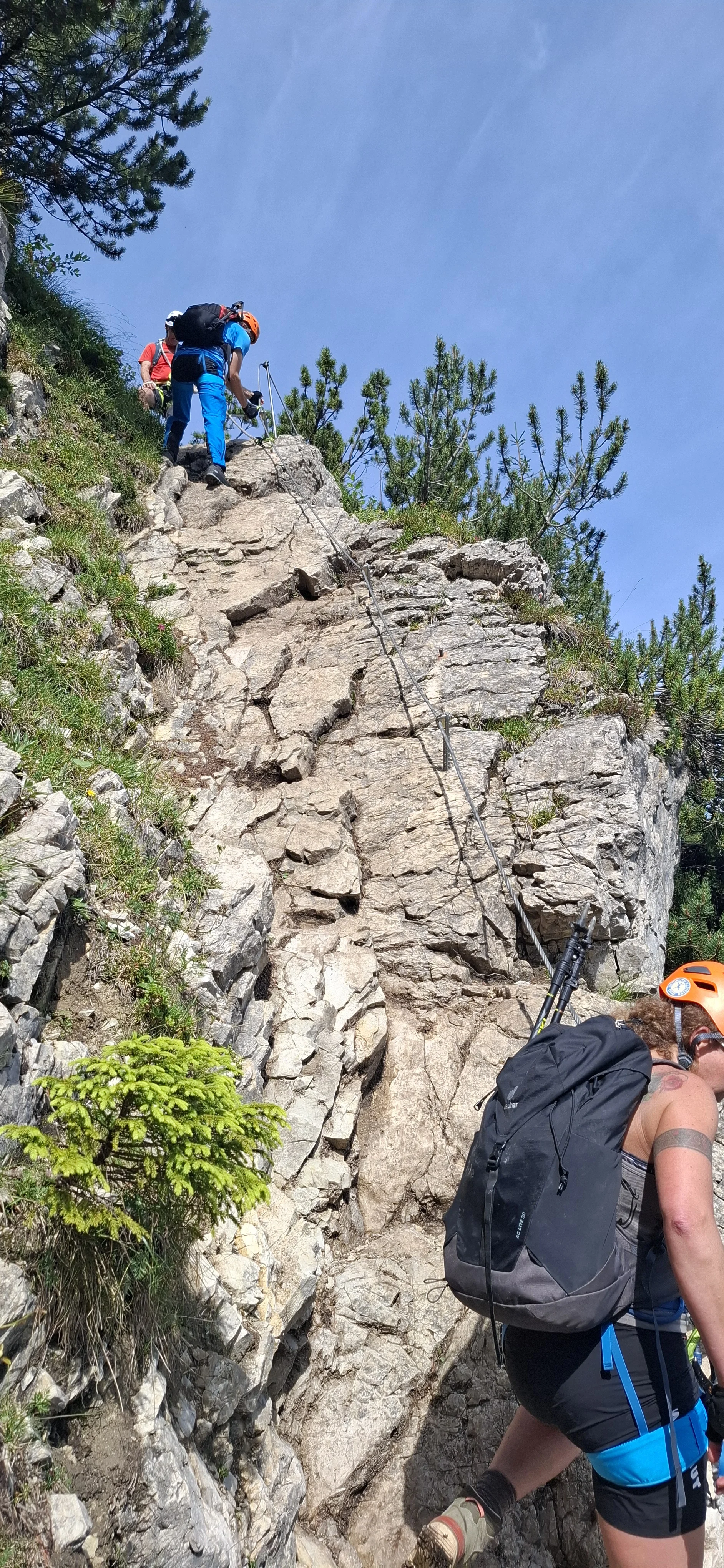 © Copyright: Sektion Treuchtlingen