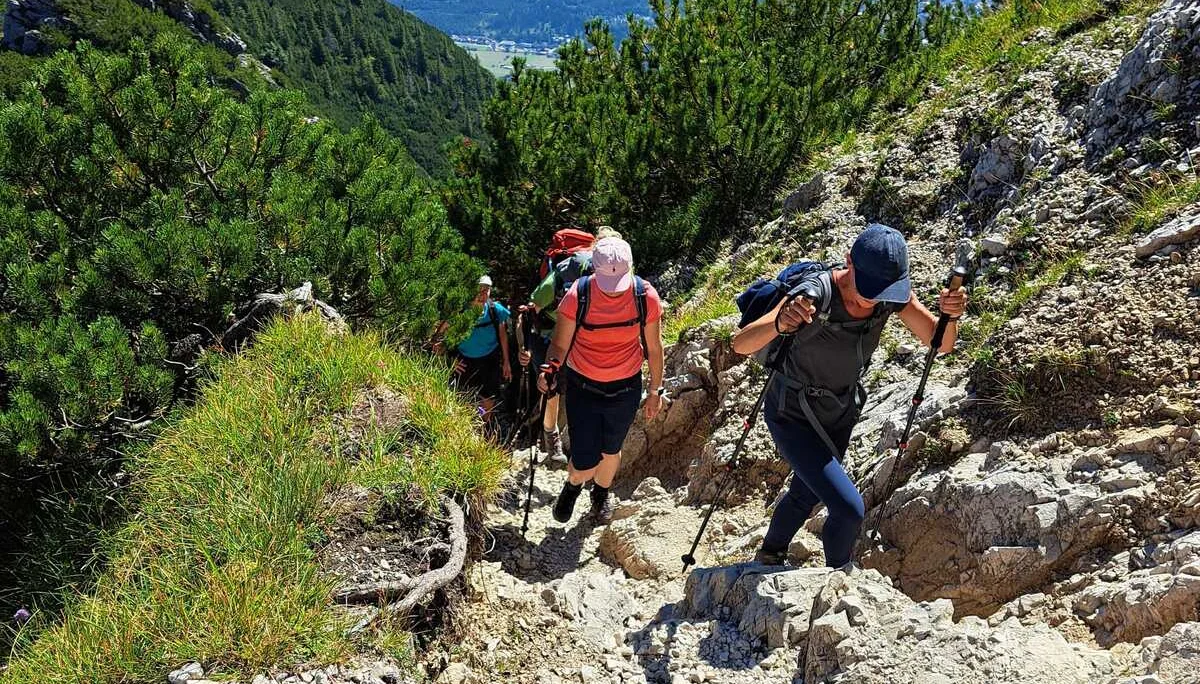 © Copyright: Angie Rosenbauer