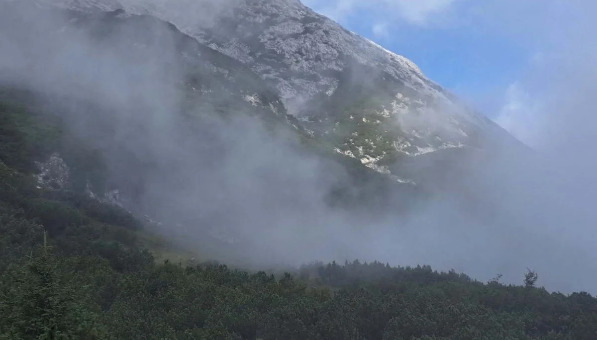 © Copyright: Angie Rosenbauer