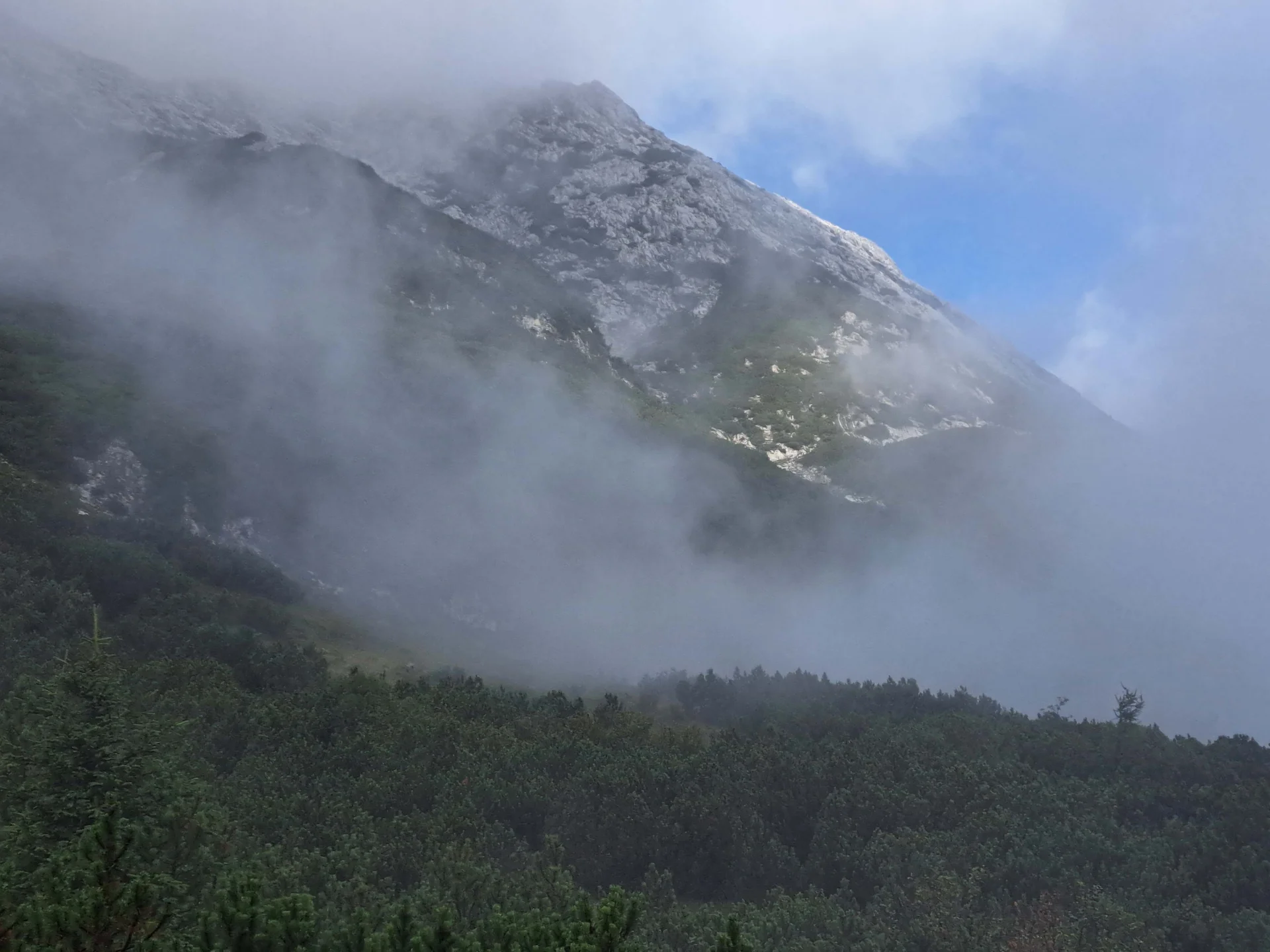 © Copyright: Angie Rosenbauer