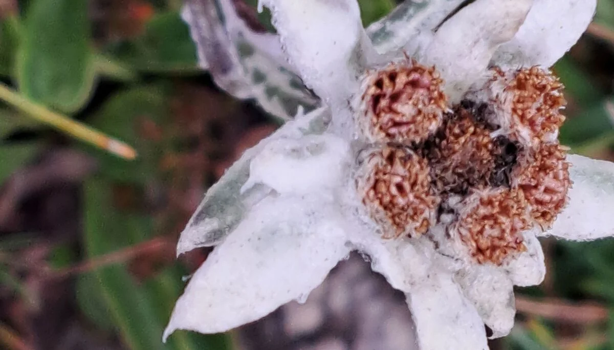 © Copyright: Angie Rosenbauer