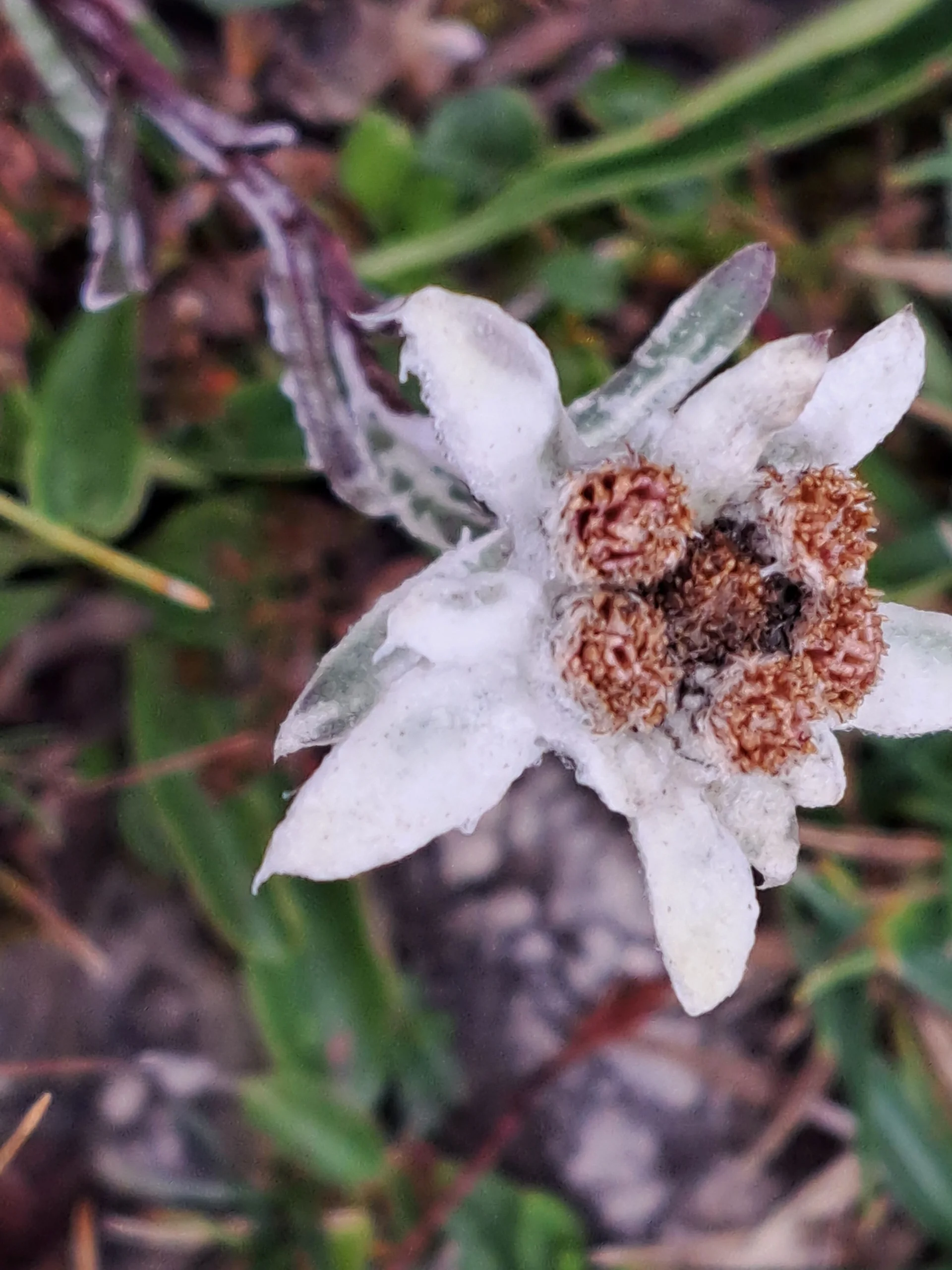 © Copyright: Angie Rosenbauer