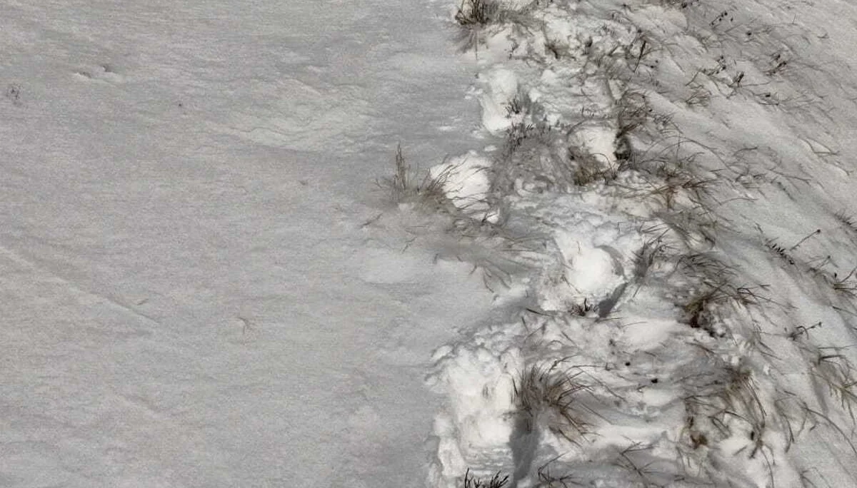 © Copyright: Sektion Treuchtlingen