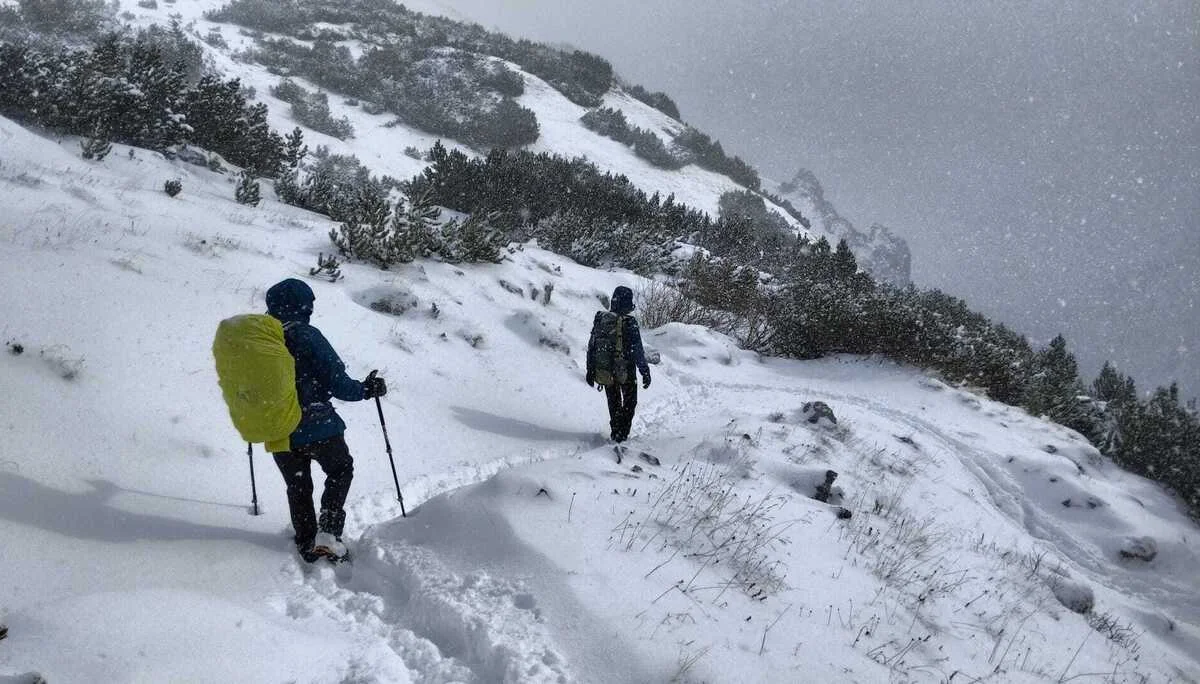 © Copyright: Sektion Treuchtlingen