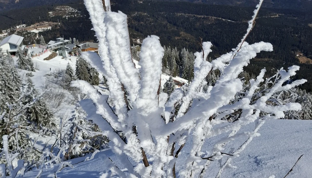 © Copyright: Sektion Treuchtlingen