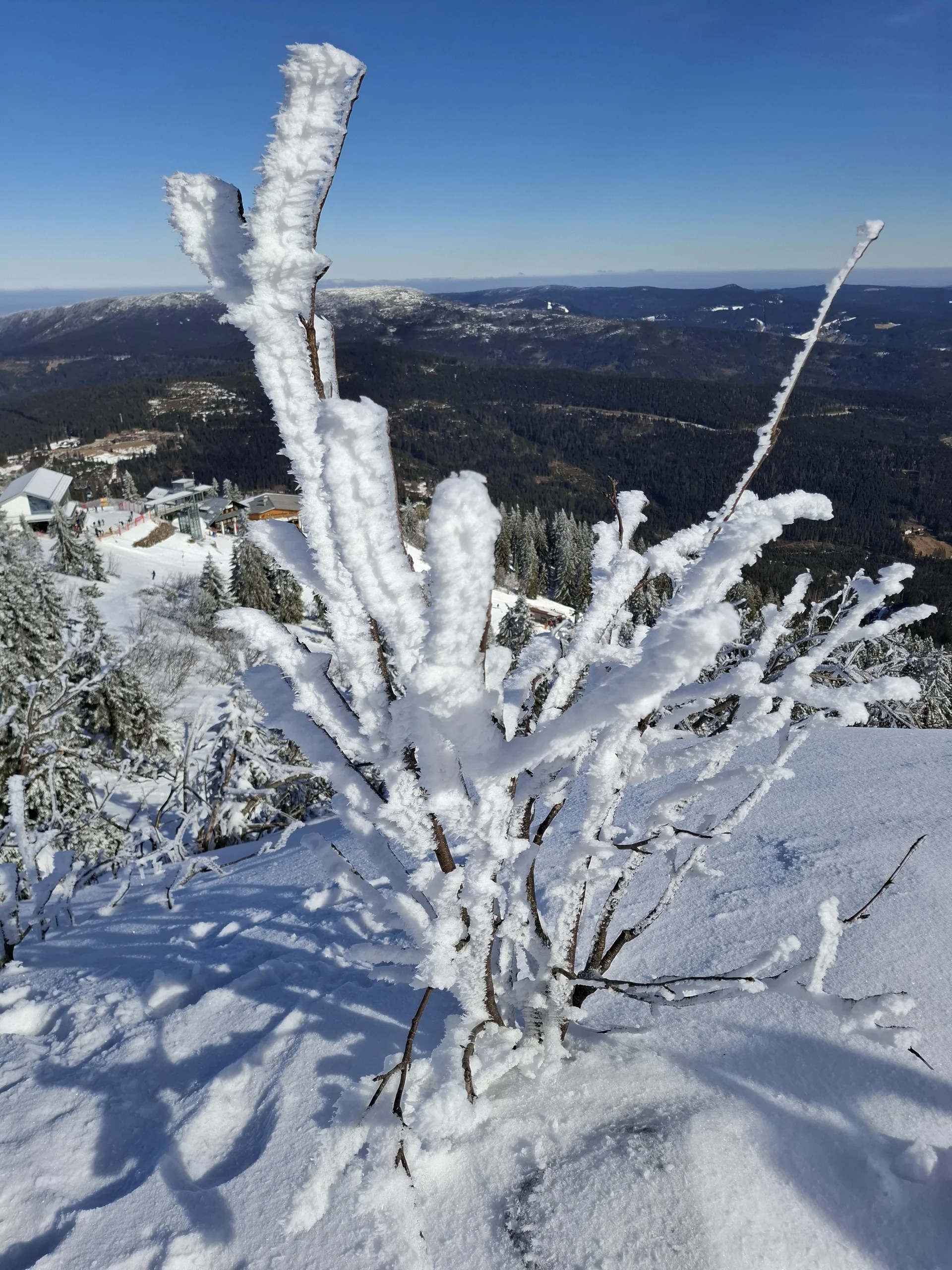 © Copyright: Sektion Treuchtlingen