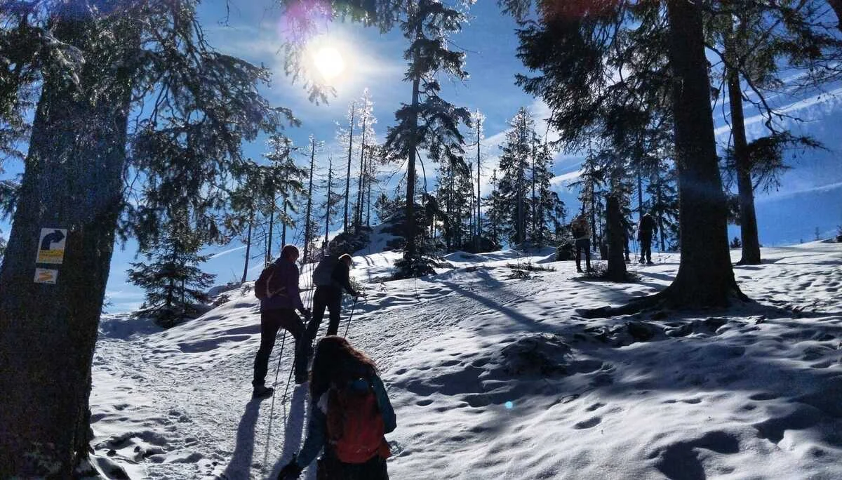 © Copyright: Sektion Treuchtlingen