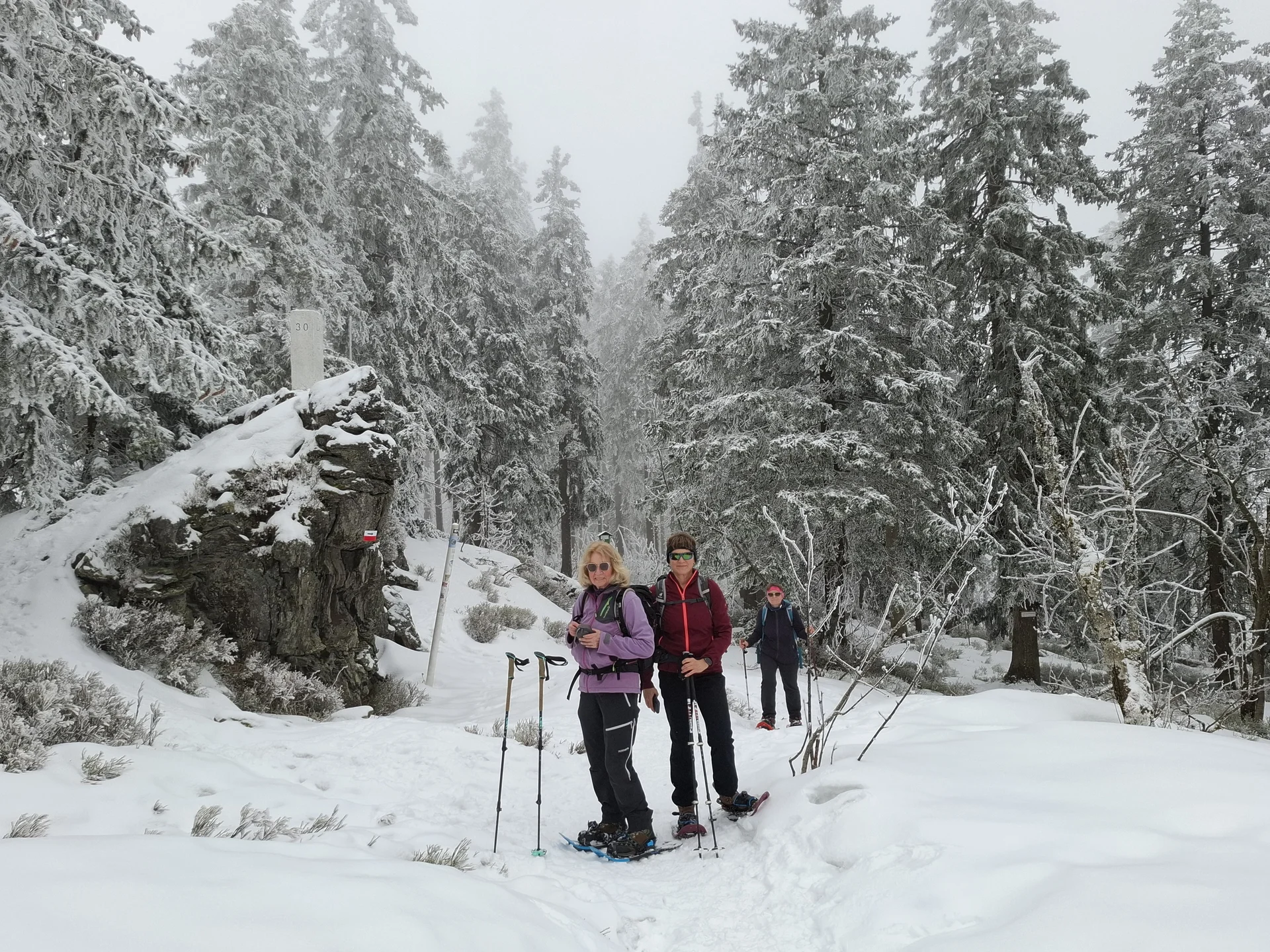 © Copyright: Sektion Treuchtlingen