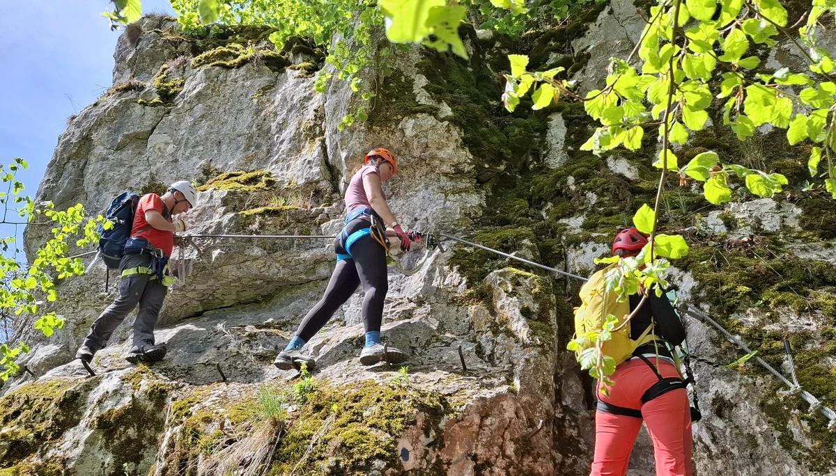 © Copyright: Sektion Treuchtlingen