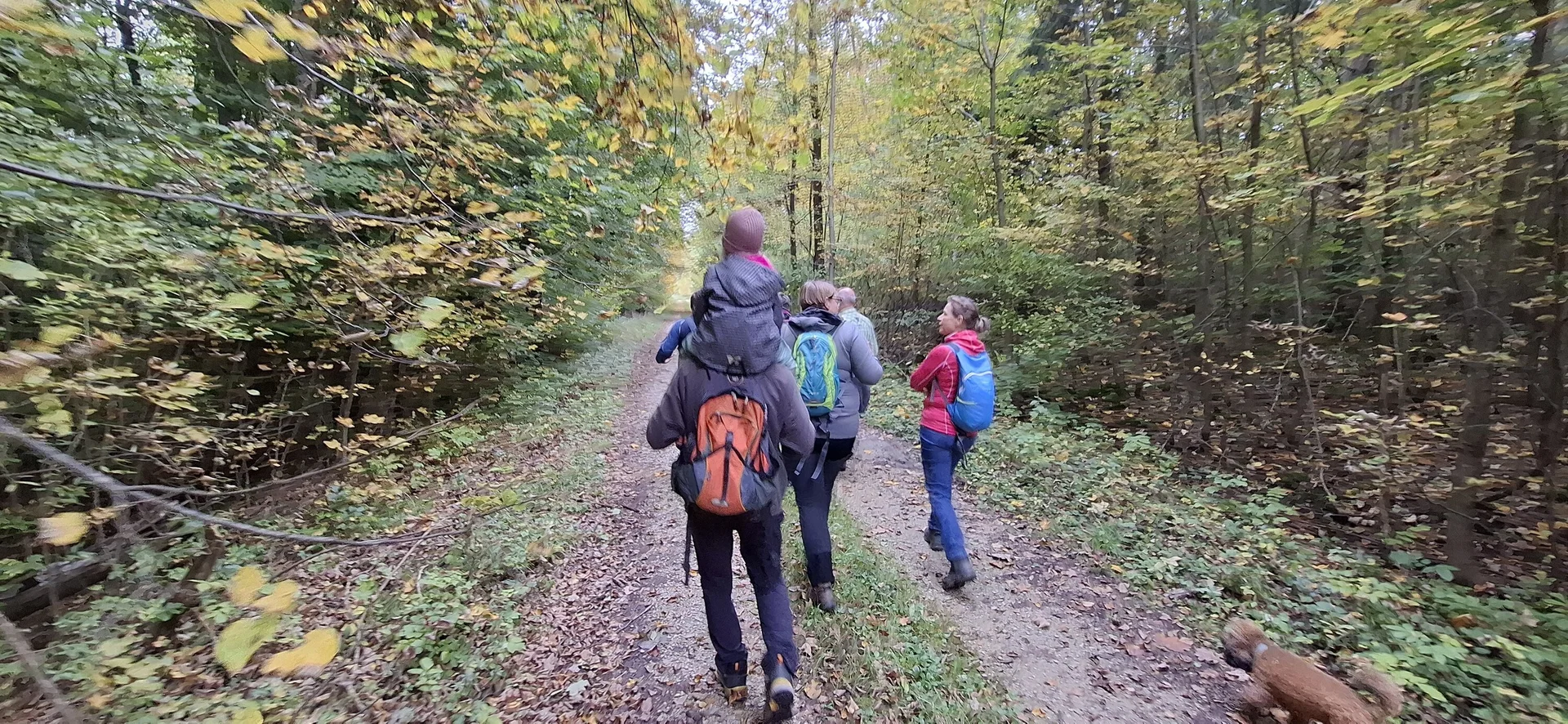 © Copyright: Sektion Treuchtlingen