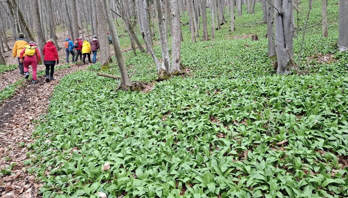 © Copyright: Sektion Treuchtlingen