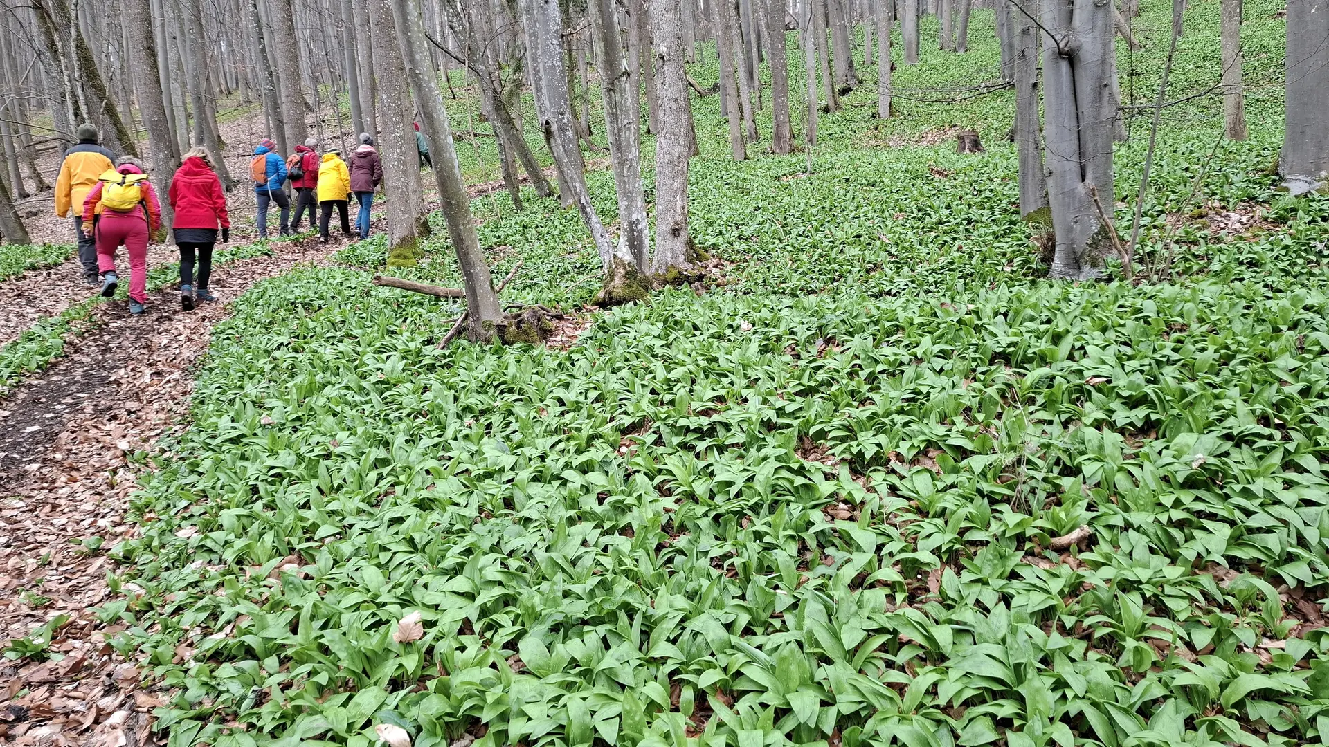 © Copyright: Sektion Treuchtlingen