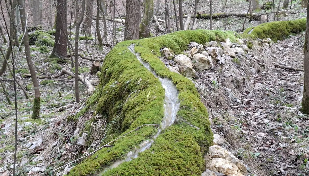 © Copyright: Sektion Treuchtlingen