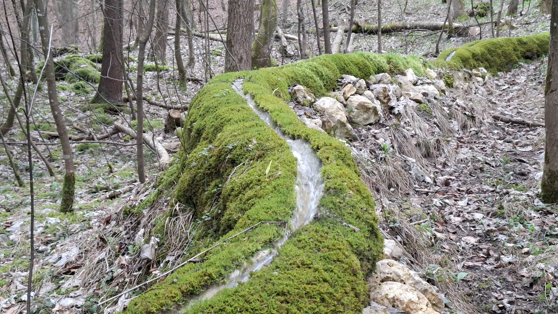 © Copyright: Sektion Treuchtlingen