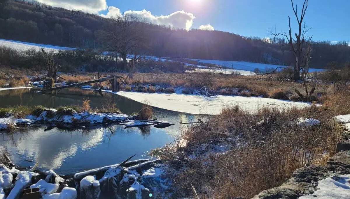 © Copyright: Sektion Treuchtlingen