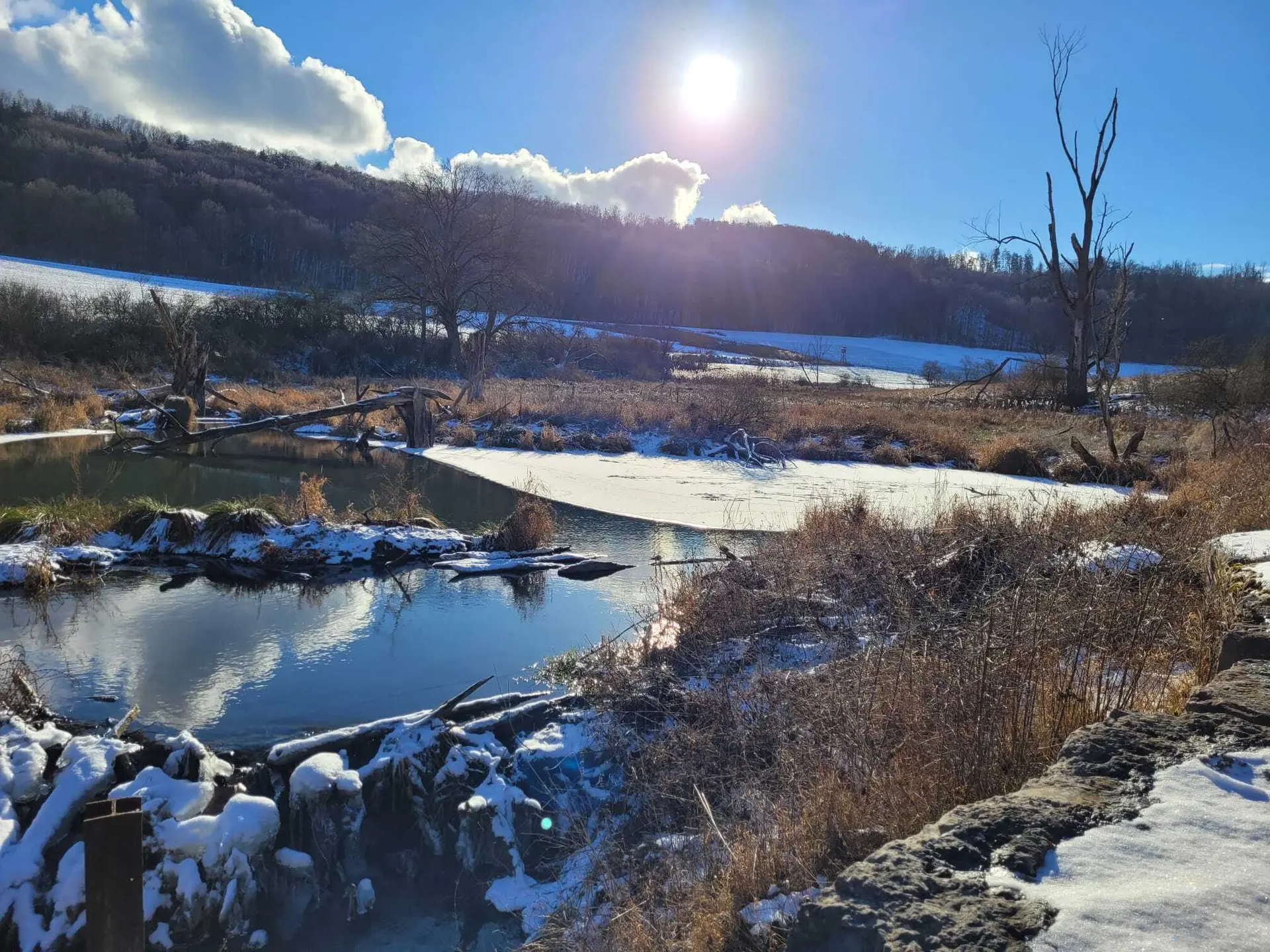 © Copyright: Sektion Treuchtlingen