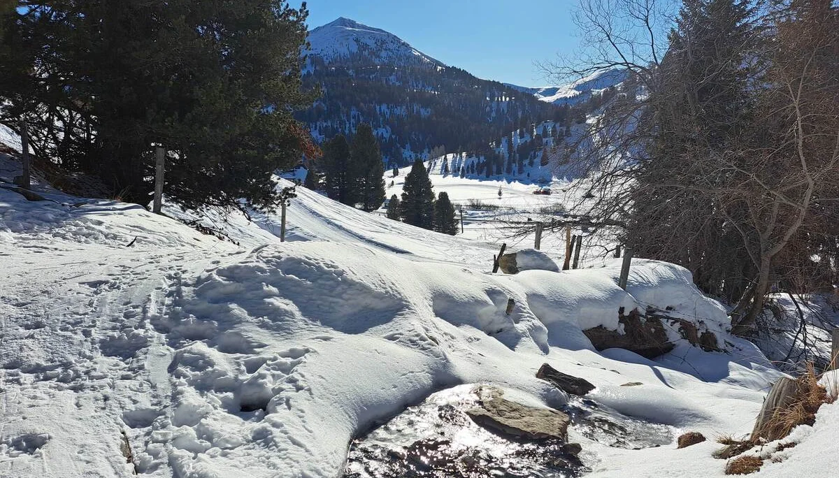 © Copyright: Sektion Treuchtlingen