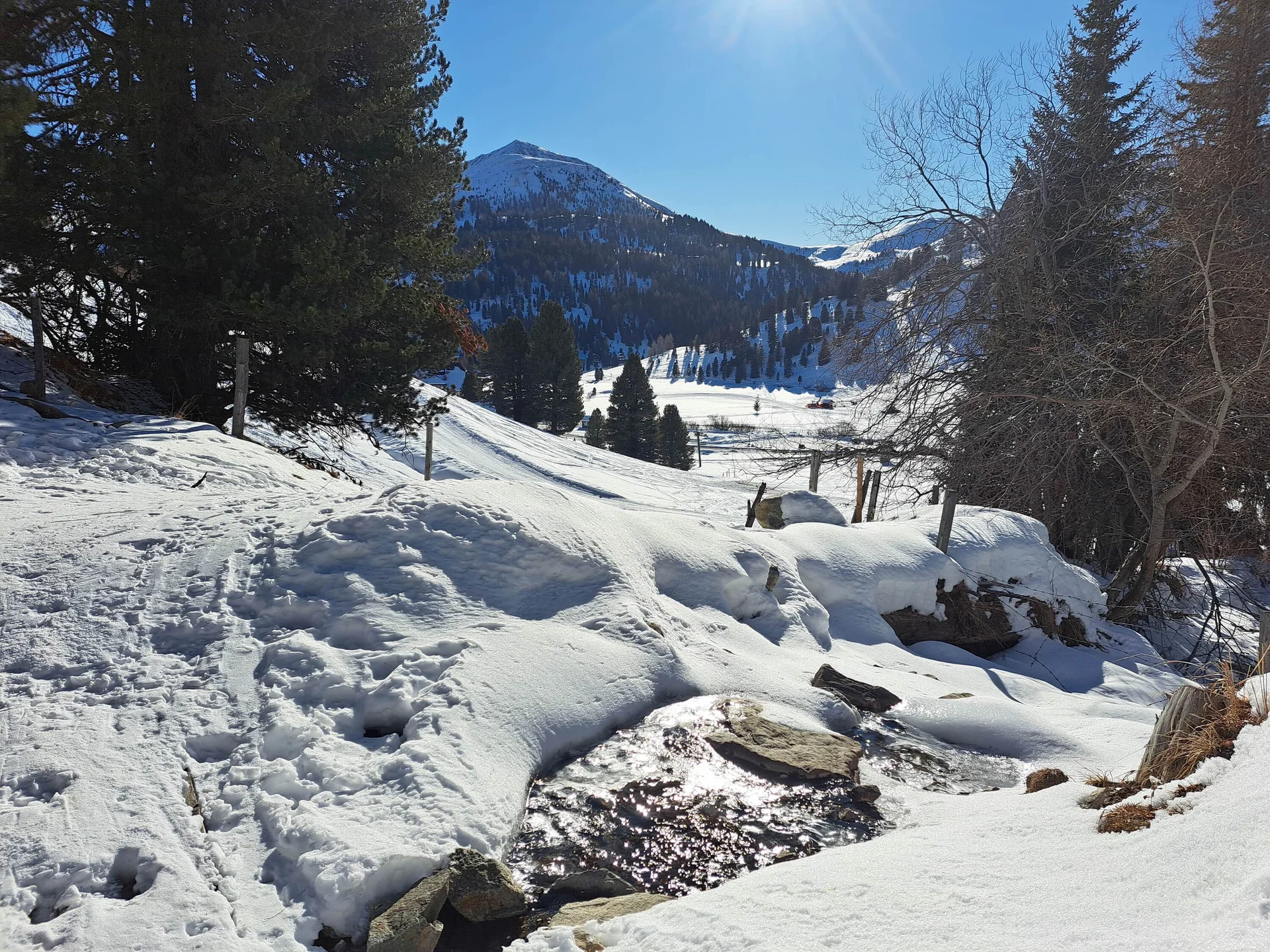 © Copyright: Angie Rosenbauer