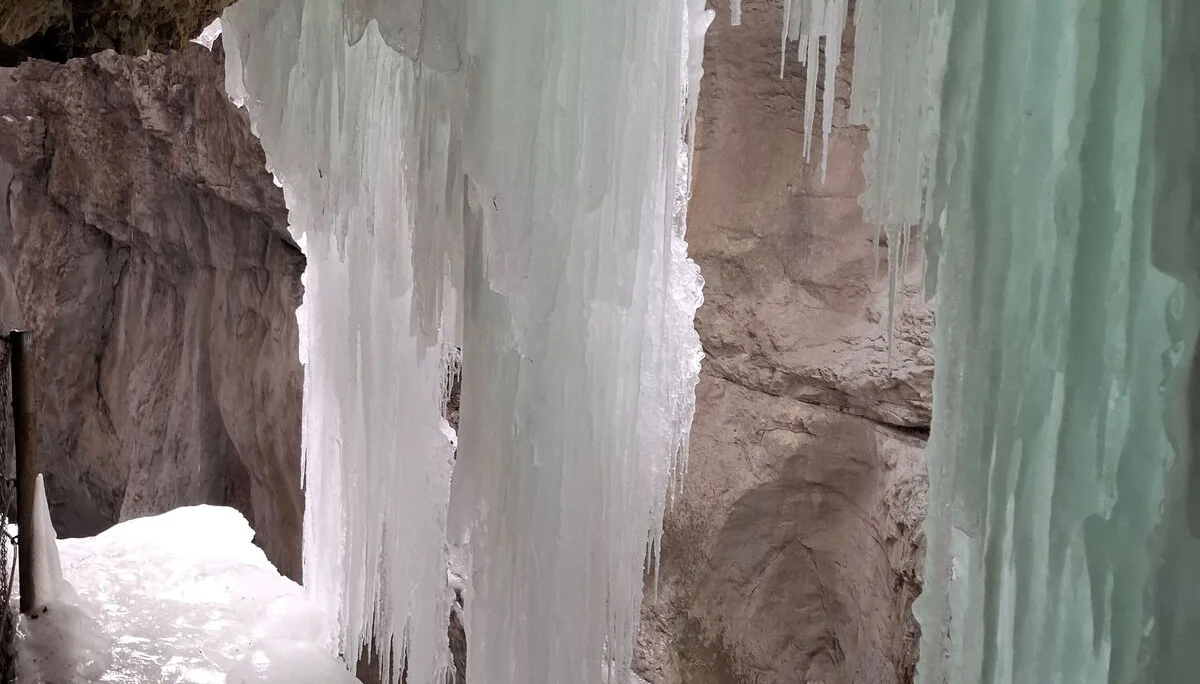 © Copyright: Sektion Treuchtlingen