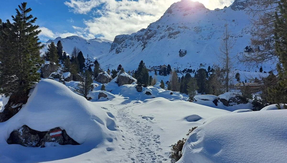 © Copyright: Sektion Treuchtlingen