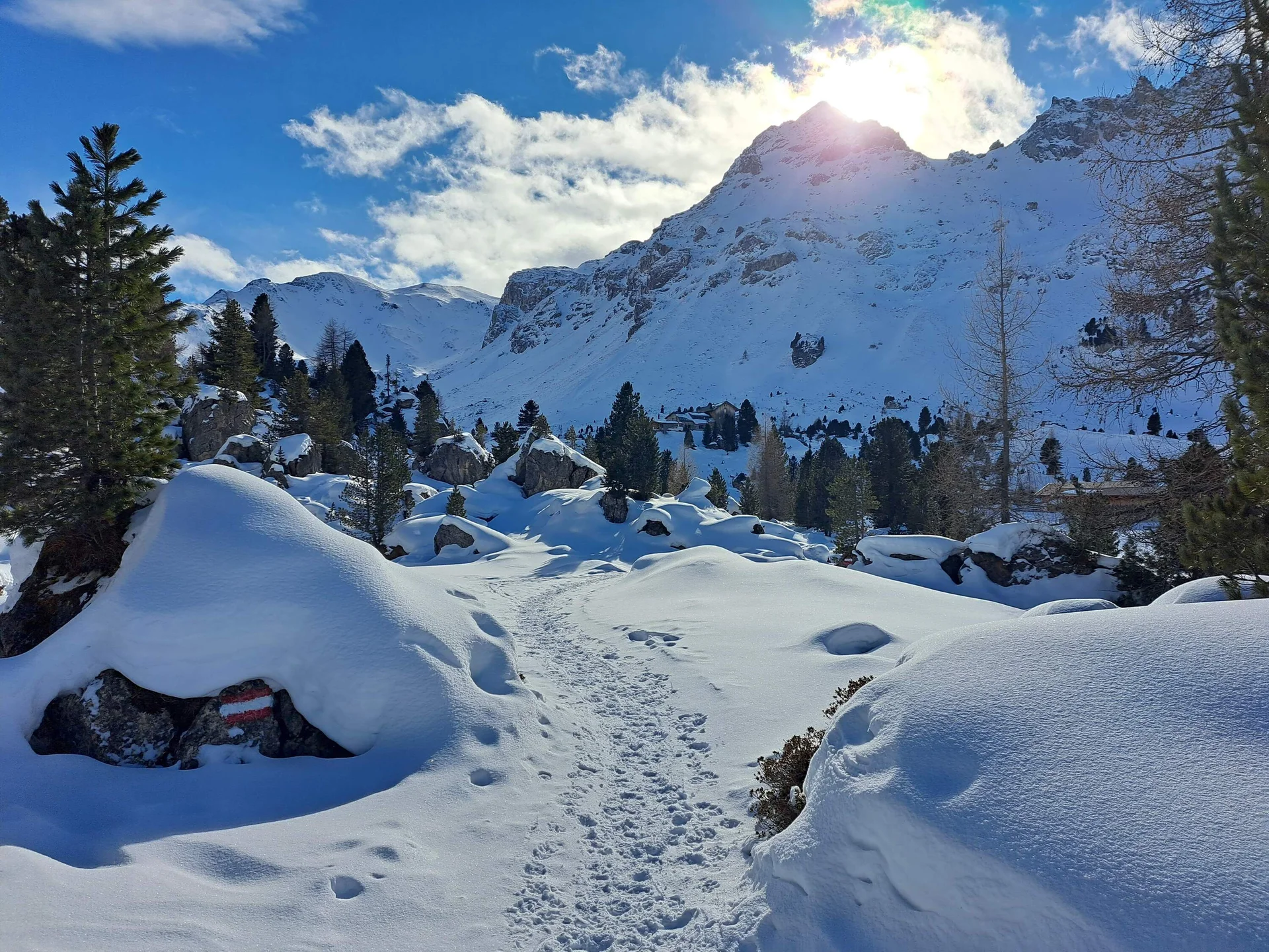 © Copyright: Angie Rosenbauer