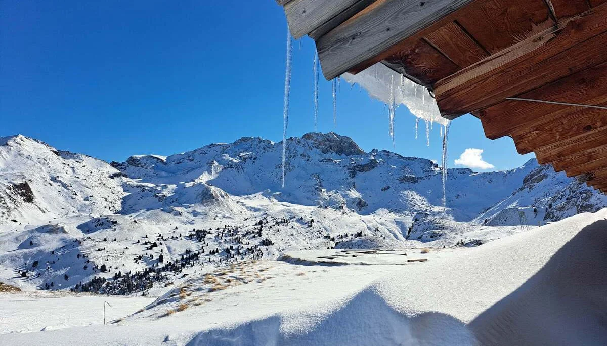 © Copyright: Angie Rosenbauer