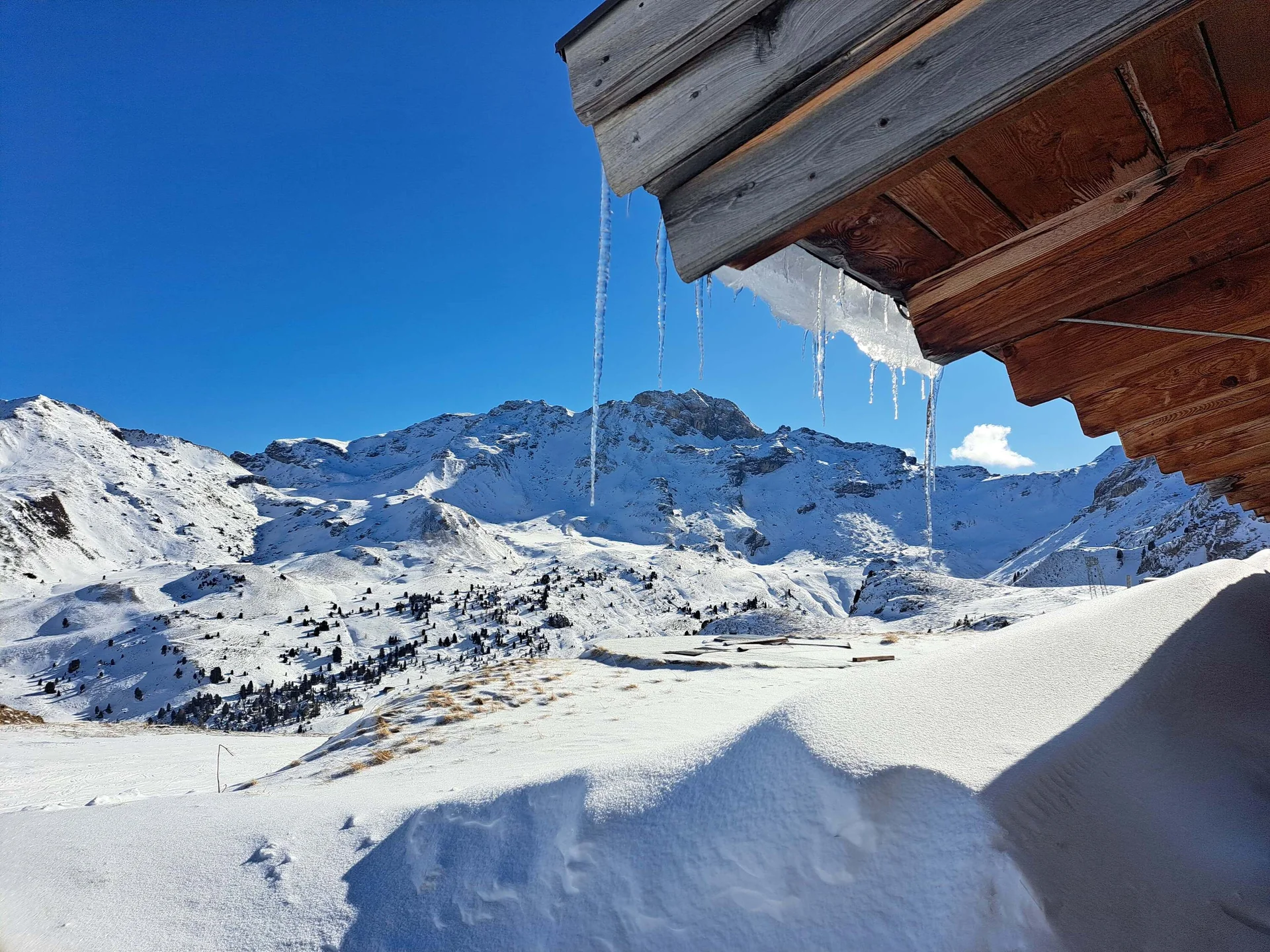 © Copyright: Angie Rosenbauer