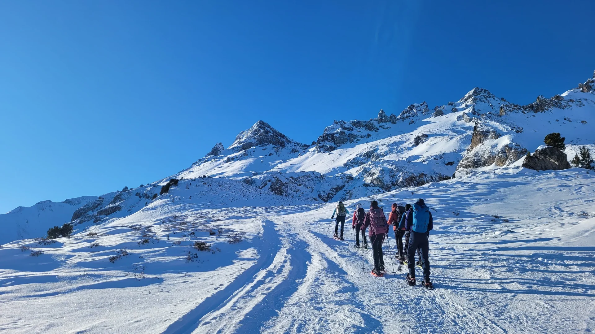 © Copyright: Angie Rosenbauer