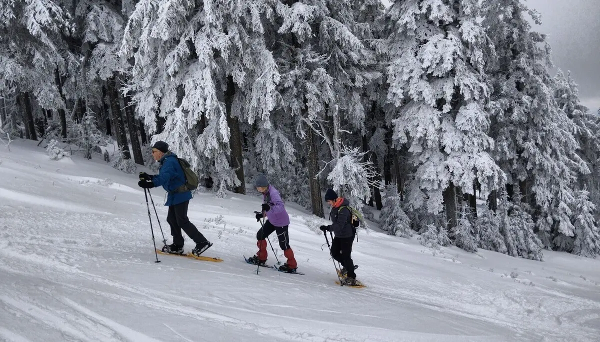 © Copyright: Sektion Treuchtlingen