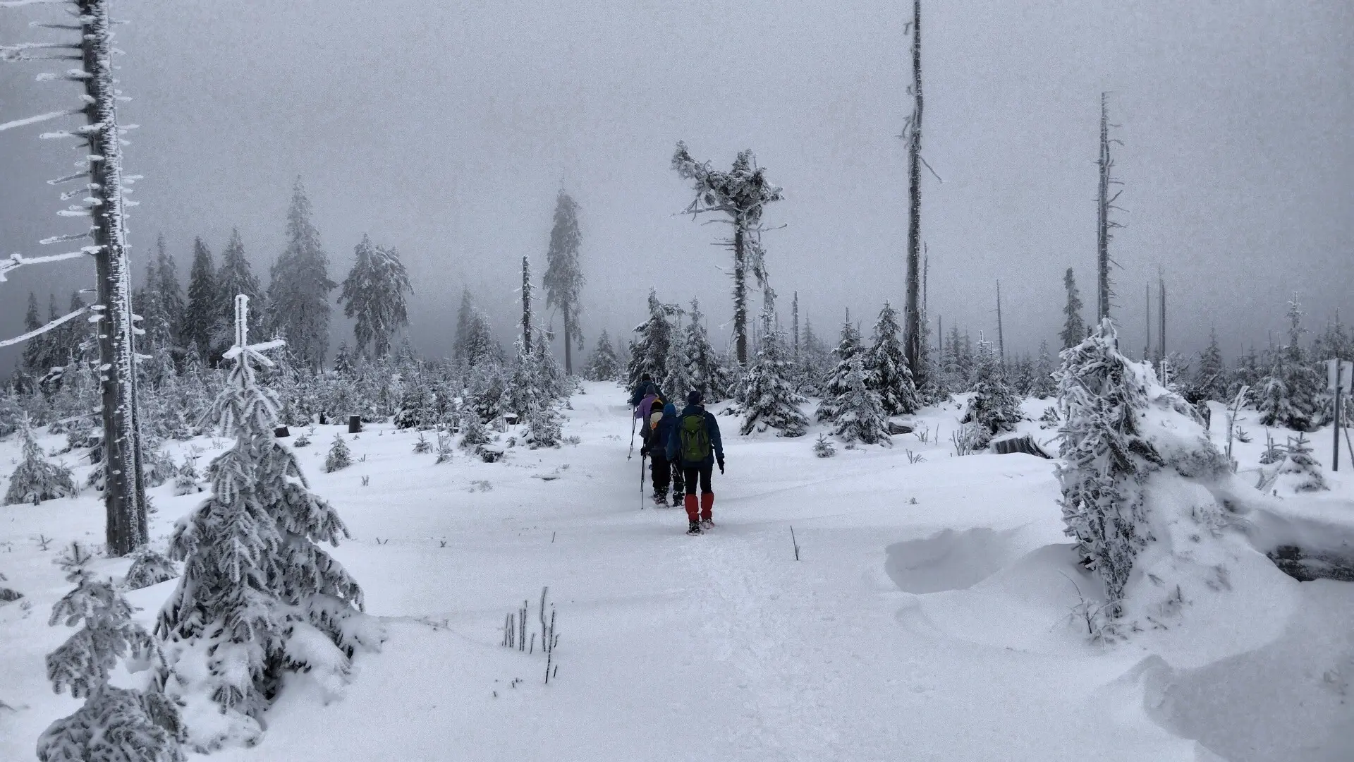 © Copyright: Sektion Treuchtlingen