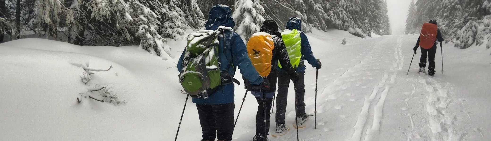 © Copyright: Sektion Treuchtlingen