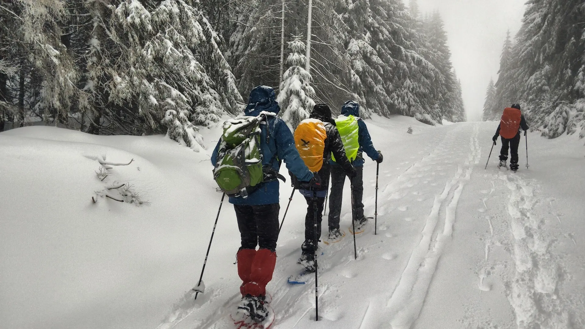 © Copyright: Sektion Treuchtlingen