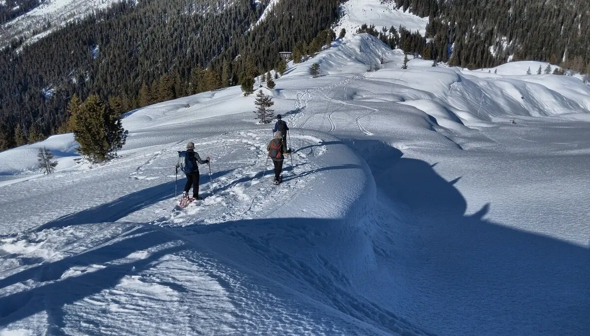 © Copyright: Sektion Treuchtlingen