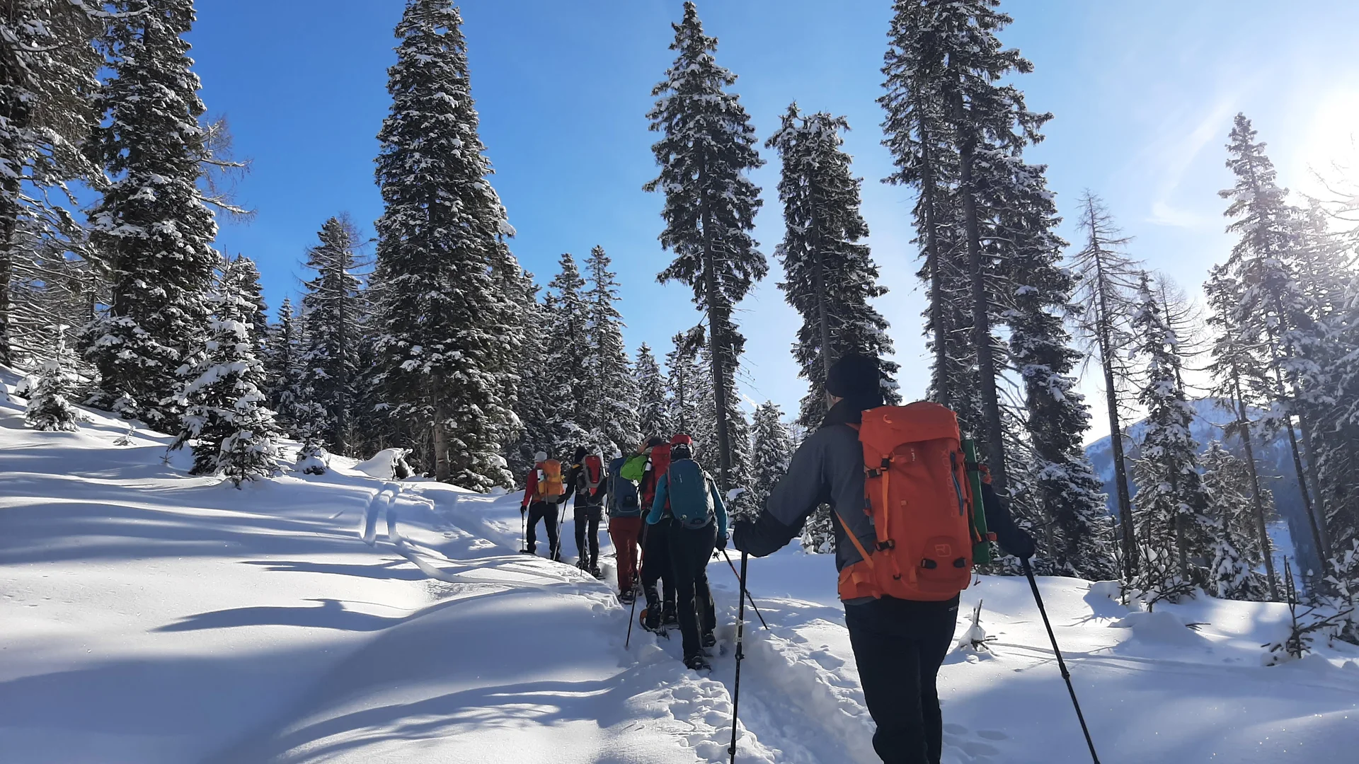 © Copyright: Sektion Treuchtlingen