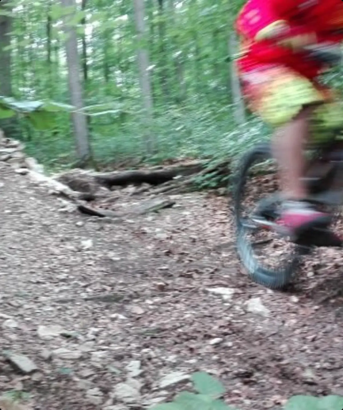 © Copyright: Sektion Treuchtlingen